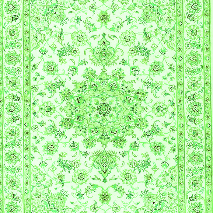 Persian Green Traditional Rug, tr3557grn