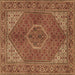 Square Persian Brown Traditional Rug, tr3558brn