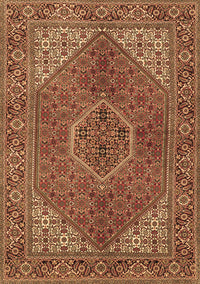 Persian Brown Traditional Rug, tr3558brn