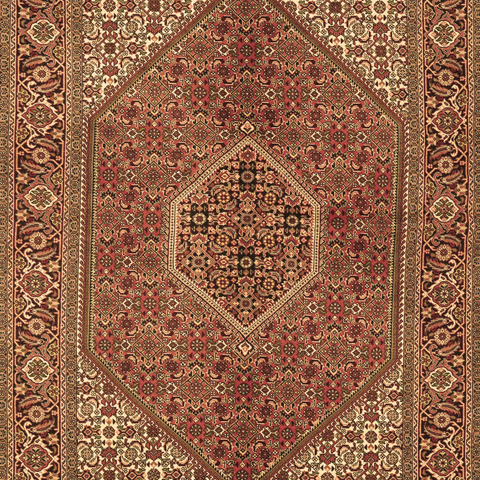 Persian Brown Traditional Rug, tr3558brn