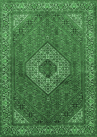 Medallion Emerald Green Traditional Rug, tr3559emgrn