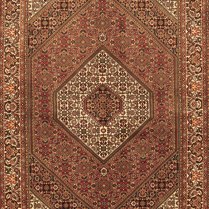 Machine Washable Medallion Brown Traditional Rug, wshtr3559brn