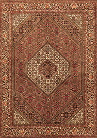 Medallion Brown Traditional Rug, tr3559brn