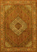 Medallion Yellow Traditional Rug, tr3559yw