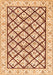 Persian Orange Traditional Rug, tr355org