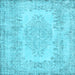 Square Persian Light Blue Traditional Rug, tr3561lblu