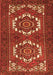 Persian Orange Traditional Rug, tr3562org