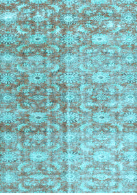 Persian Light Blue Traditional Rug, tr3566lblu