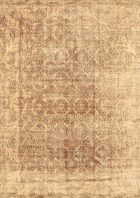 Persian Brown Traditional Rug, tr3568brn