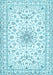 Medallion Light Blue Traditional Rug, tr356lblu