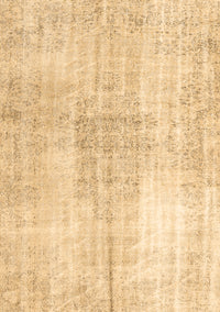 Persian Brown Traditional Rug, tr3574brn