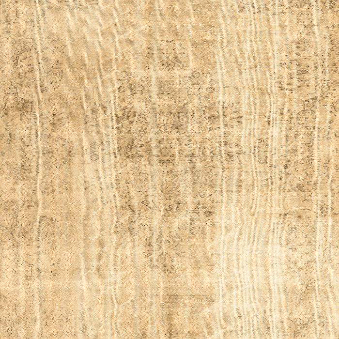 Persian Brown Traditional Rug, tr3574brn