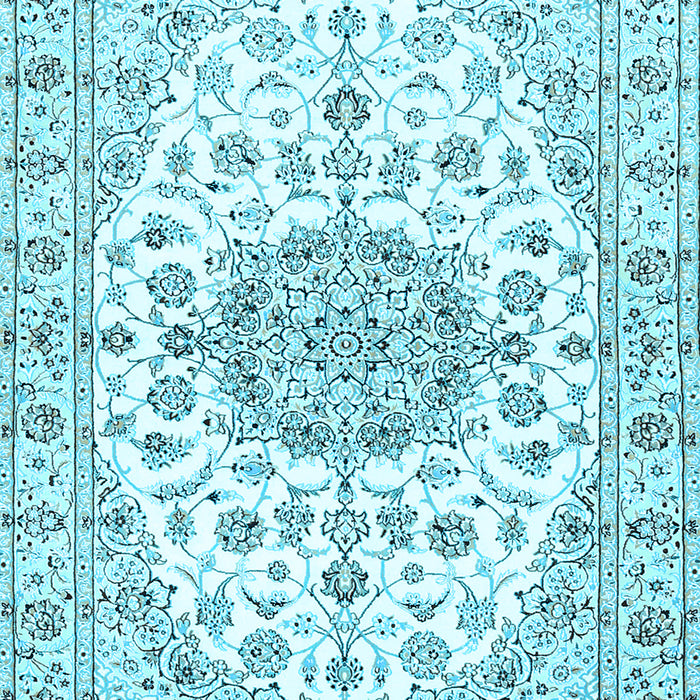 Medallion Light Blue Traditional Rug, tr357lblu