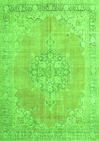 Medallion Green Traditional Rug, tr3586grn