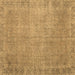 Square Persian Brown Traditional Rug, tr3587brn