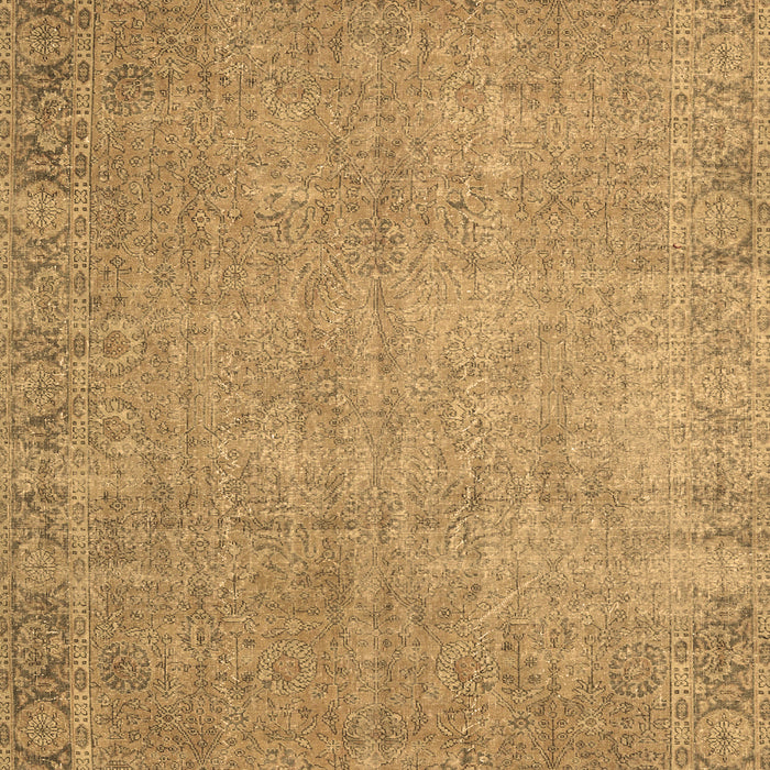 Machine Washable Persian Brown Traditional Rug, wshtr3587brn