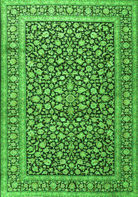 Persian Green Traditional Rug, tr3591grn