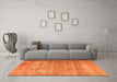 Machine Washable Persian Orange Traditional Area Rugs in a Living Room, wshtr3592org