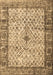 Machine Washable Persian Brown Traditional Rug, wshtr3597brn