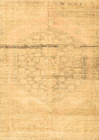 Persian Brown Traditional Rug, tr3599brn