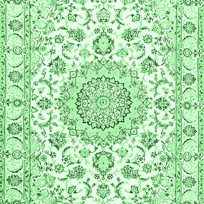 Medallion Emerald Green Traditional Rug, tr359emgrn