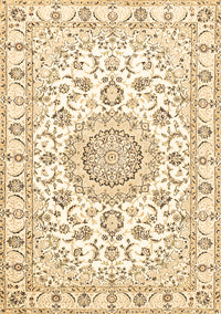 Medallion Brown Traditional Rug, tr359brn