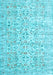 Persian Light Blue Traditional Rug, tr3600lblu