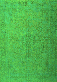 Persian Green Traditional Rug, tr3602grn