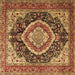 Square Persian Brown Traditional Rug, tr3603brn