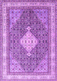 Persian Purple Traditional Rug, tr3604pur