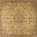 Square Persian Brown Traditional Rug, tr3606brn