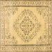 Square Machine Washable Persian Brown Traditional Rug, wshtr3608brn