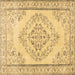 Square Persian Brown Traditional Rug, tr3608brn