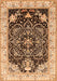 Persian Orange Traditional Rug, tr360org