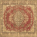 Square Machine Washable Persian Brown Traditional Rug, wshtr3611brn