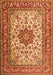 Persian Orange Traditional Rug, tr3613org