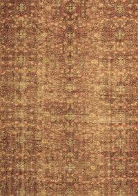 Persian Brown Traditional Rug, tr3614brn