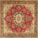 Square Machine Washable Persian Brown Traditional Rug, wshtr3615brn