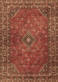 Persian Brown Traditional Rug, tr3618brn