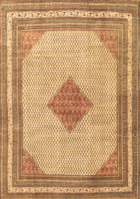 Persian Brown Traditional Rug, tr3622brn