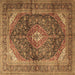 Square Persian Brown Traditional Rug, tr3628brn