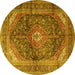 Round Persian Yellow Traditional Rug, tr3628yw
