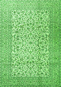 Persian Green Traditional Rug, tr3629grn