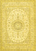 Medallion Yellow Traditional Rug, tr362yw