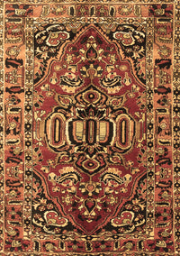 Persian Brown Traditional Rug, tr3631brn