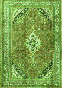 Persian Green Traditional Rug, tr3635grn