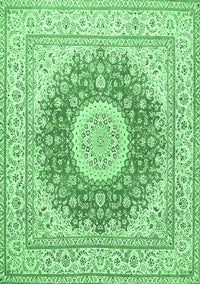 Medallion Emerald Green Traditional Rug, tr363emgrn