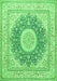 Medallion Green Traditional Rug, tr363grn