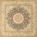 Square Medallion Brown Traditional Rug, tr363brn