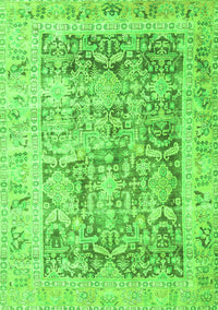Persian Green Traditional Rug, tr3647grn